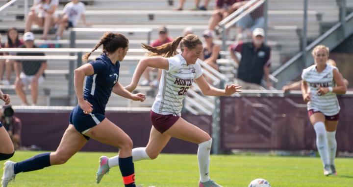 The Athlete Blueprint