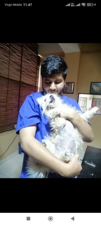 Saddy Dvm