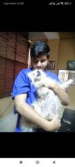 Saddy Dvm
