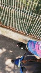 Lillye Comedon vatain