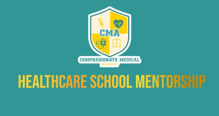 Healthcare School Mentorship