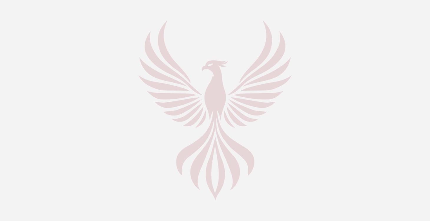 The Phoenix Journey - 90 Day Transformation