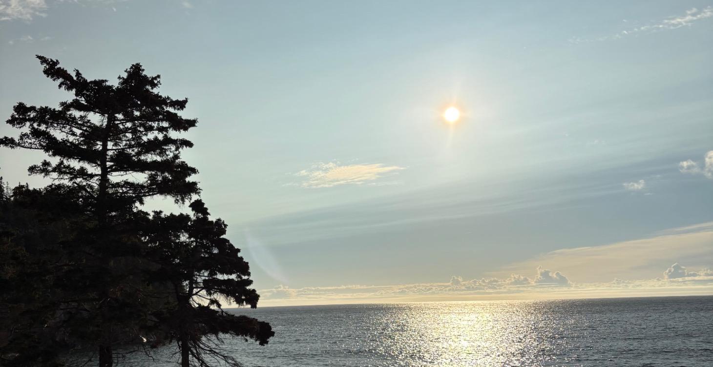 Fearless / Fear less