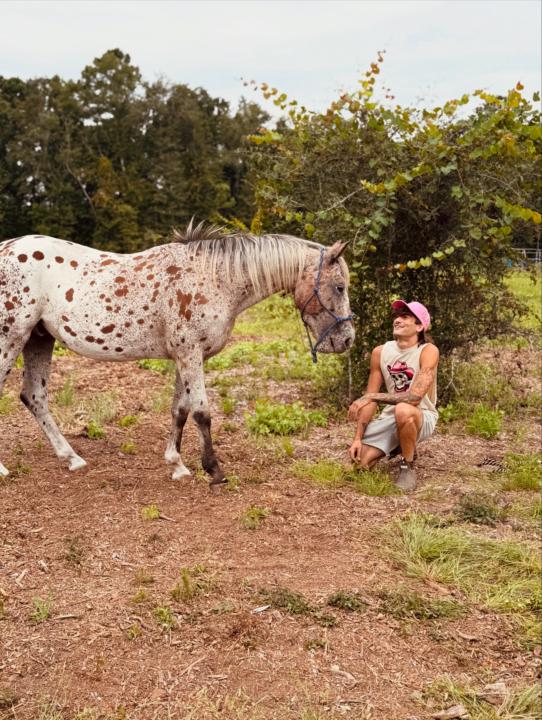 🐴 Meet Granite — My Spotted Menace and Heart Horse