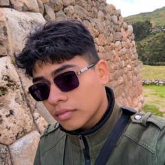 Johann Daniel Colmenares Becerra