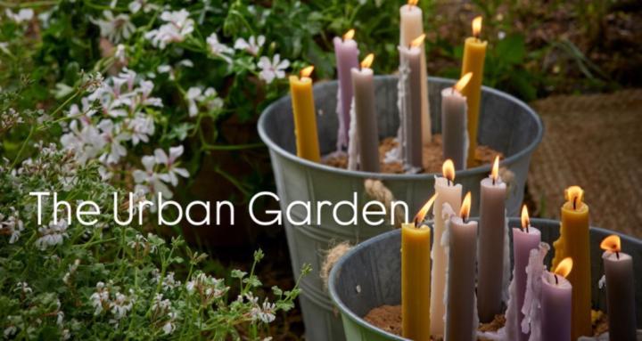 The Urban Garden