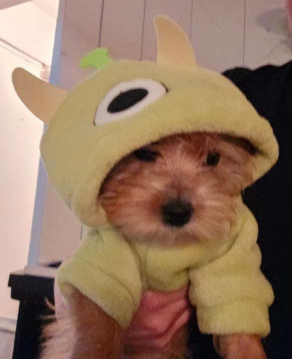Jennifer Corbin