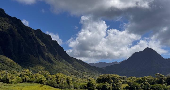 Duncan’s photography