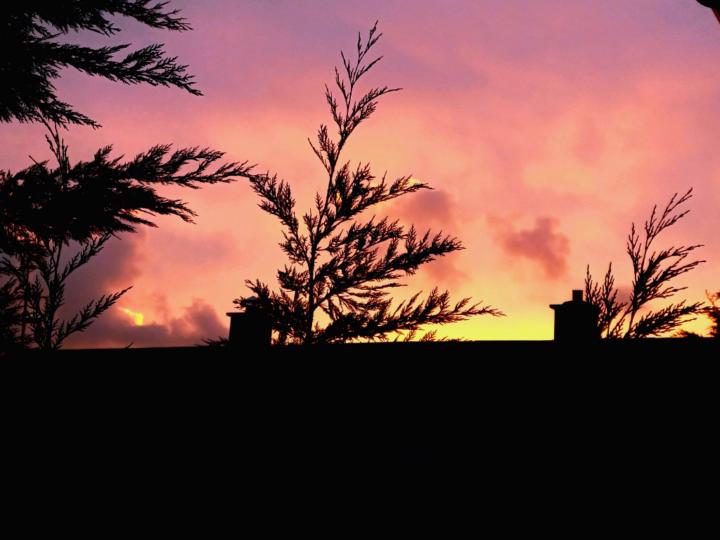 Enioluwafe Oyefesobi