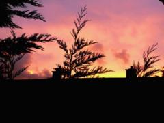 Enioluwafe Oyefesobi