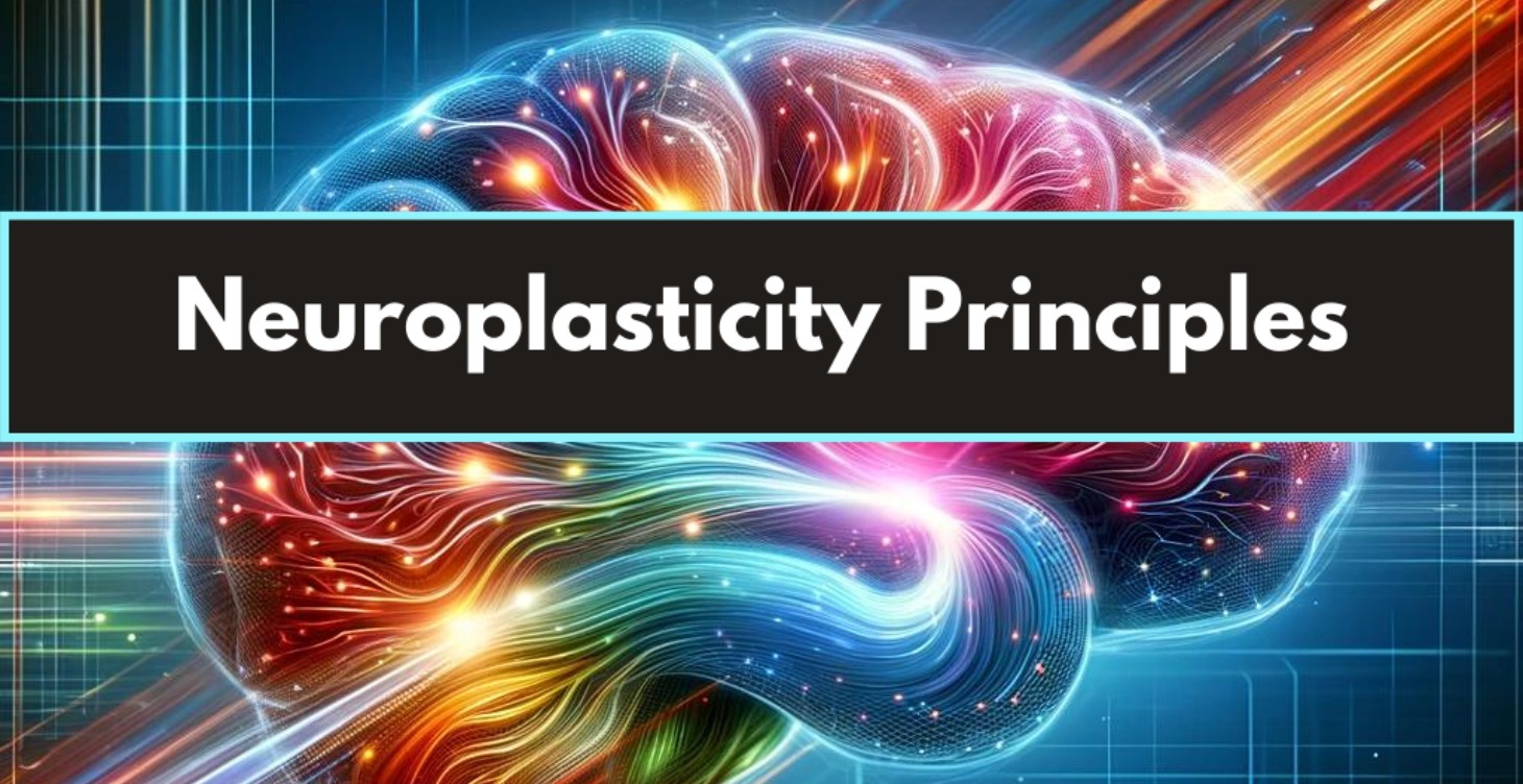 Principles of Neuroplasticity