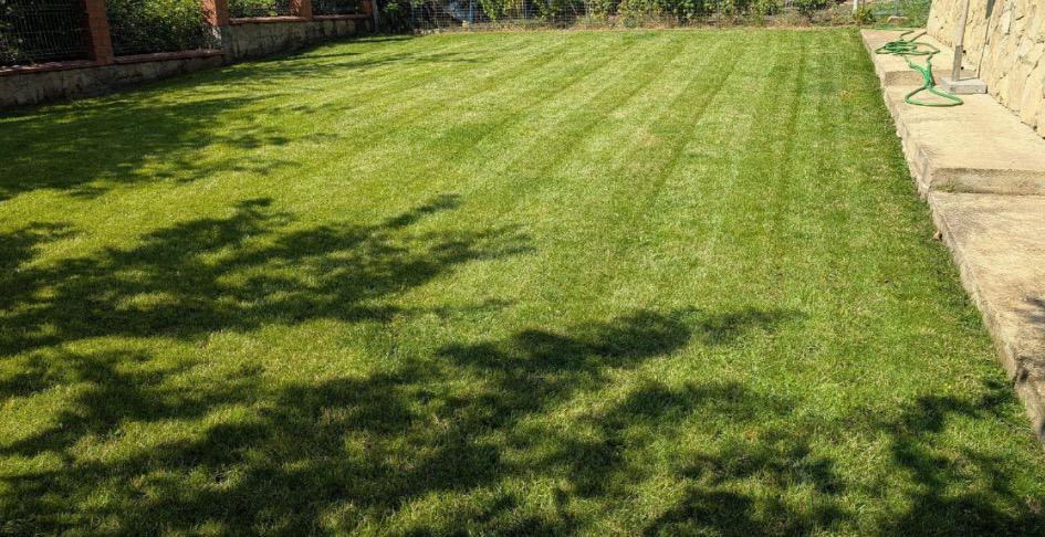 Cuting grass