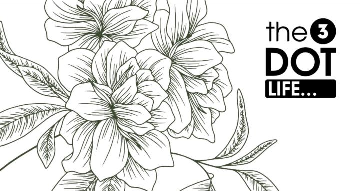 The 3-Dot Life