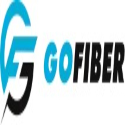 Gofiber Vn