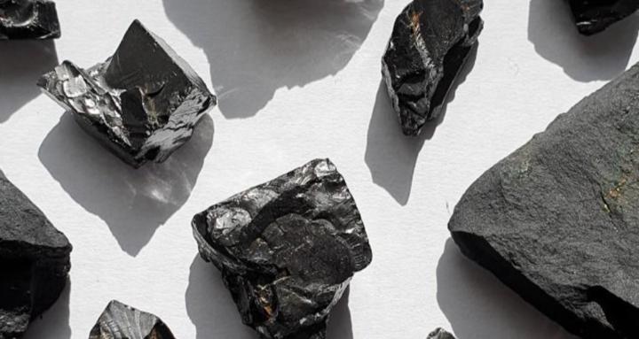 Carbon Living - Ambassadrices
