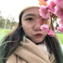 Cat Hui