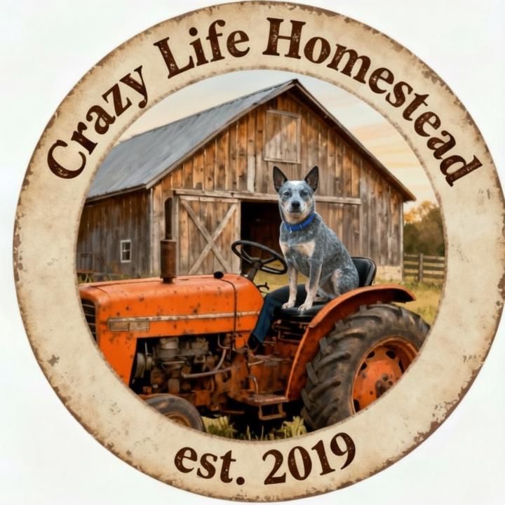 Mo Olsen- Crazy Life Homestead
