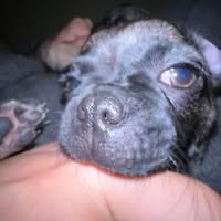 Jesse James Dominguez-Perry