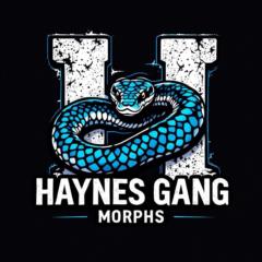 Dominic Haynes