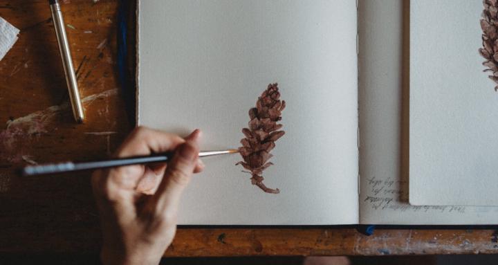 Nature Journaling Together