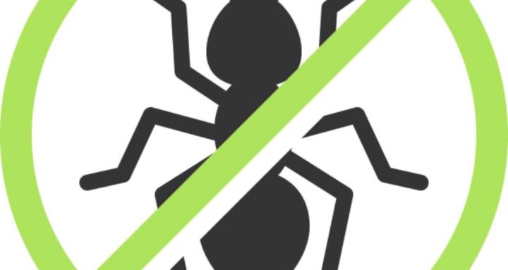 Bug Buddies