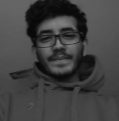 Faizan Ali