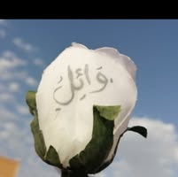 Maryam Assaf