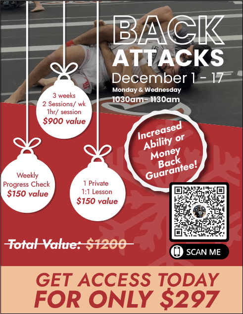 Last Workshop for the year