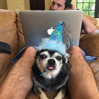Jason Applebaum