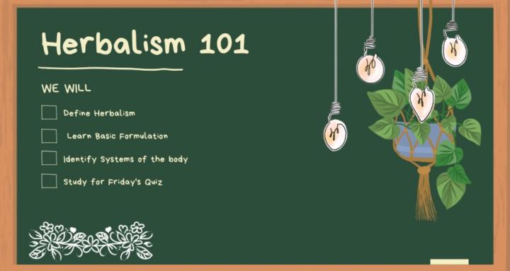 Herbal Beginners 101