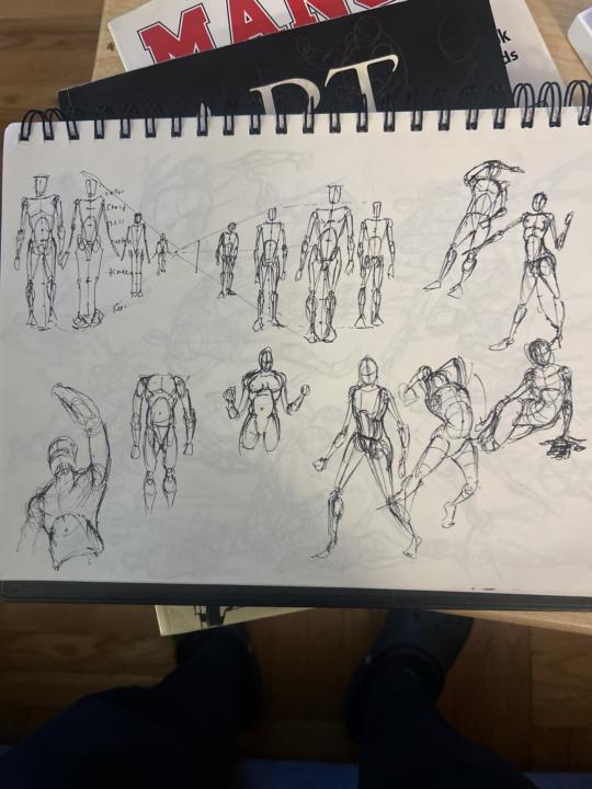 Anatomy and Proportions  