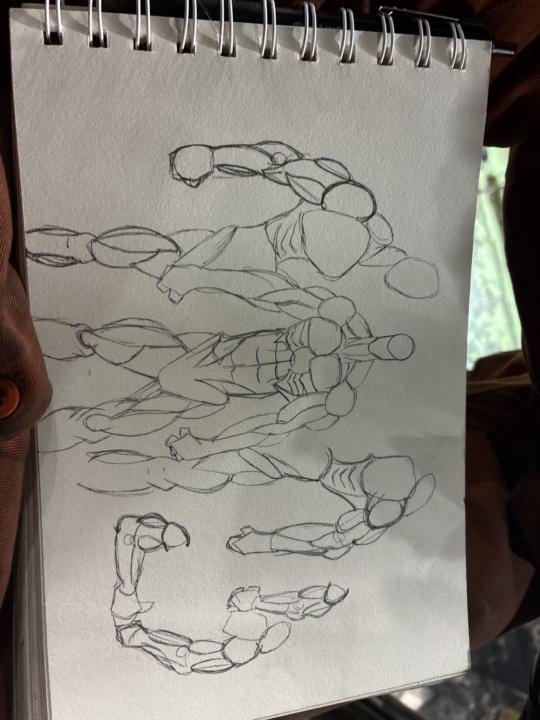 Anatomy 