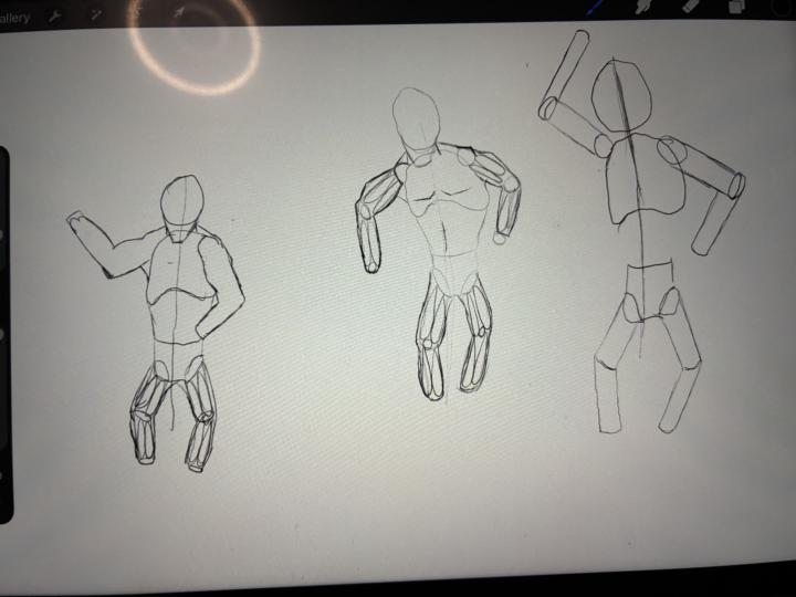 I’m trying to use this as my method of understanding the anatomy of the muscle groups and proportions am I headed in the right direction it kind of feels like I’m inconsistent when I try this what could I be doing better 