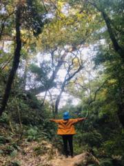Linh Nghiem