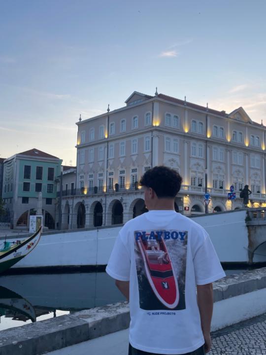 Afonso Tavares