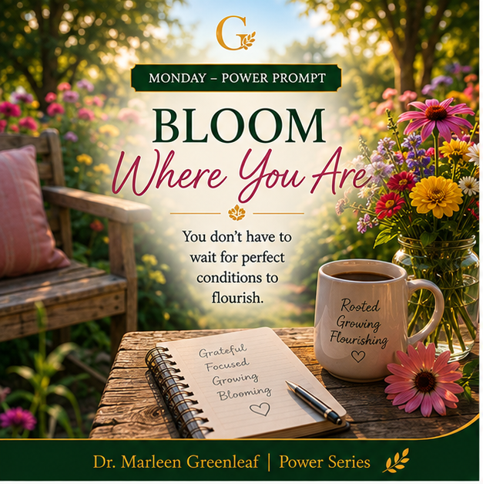 🌟 Bloom Where You Are