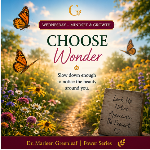   🌿Choose Wonder
