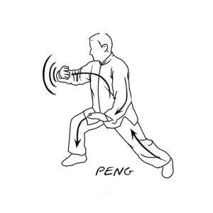 Ward Off - Peng Energy