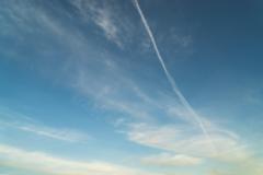 Jenny Carolina Vargas Aponte