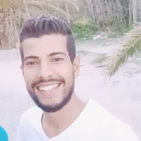 Mohamed Ali Harrathi