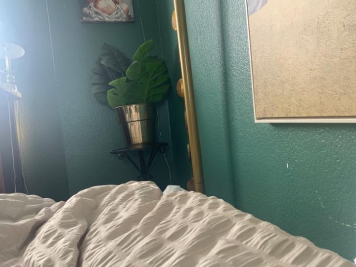 D Cc