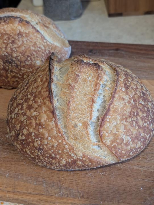 Central Milling Classic Sourdough Attempt #1