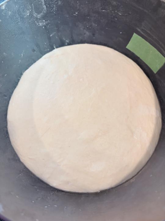 Baguette Attempt #1