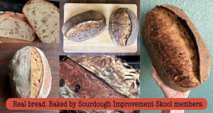 Sourdough Improvement Skool
