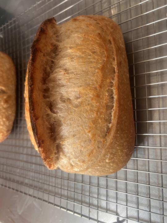 Pain au Levain