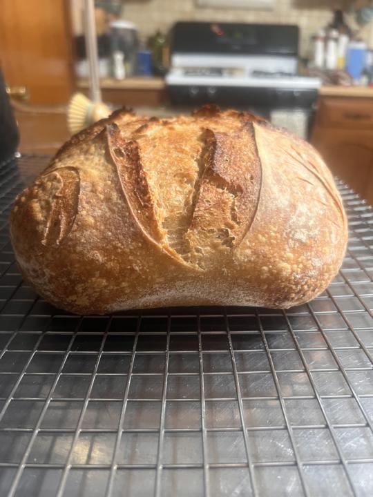 Pain de Campagne