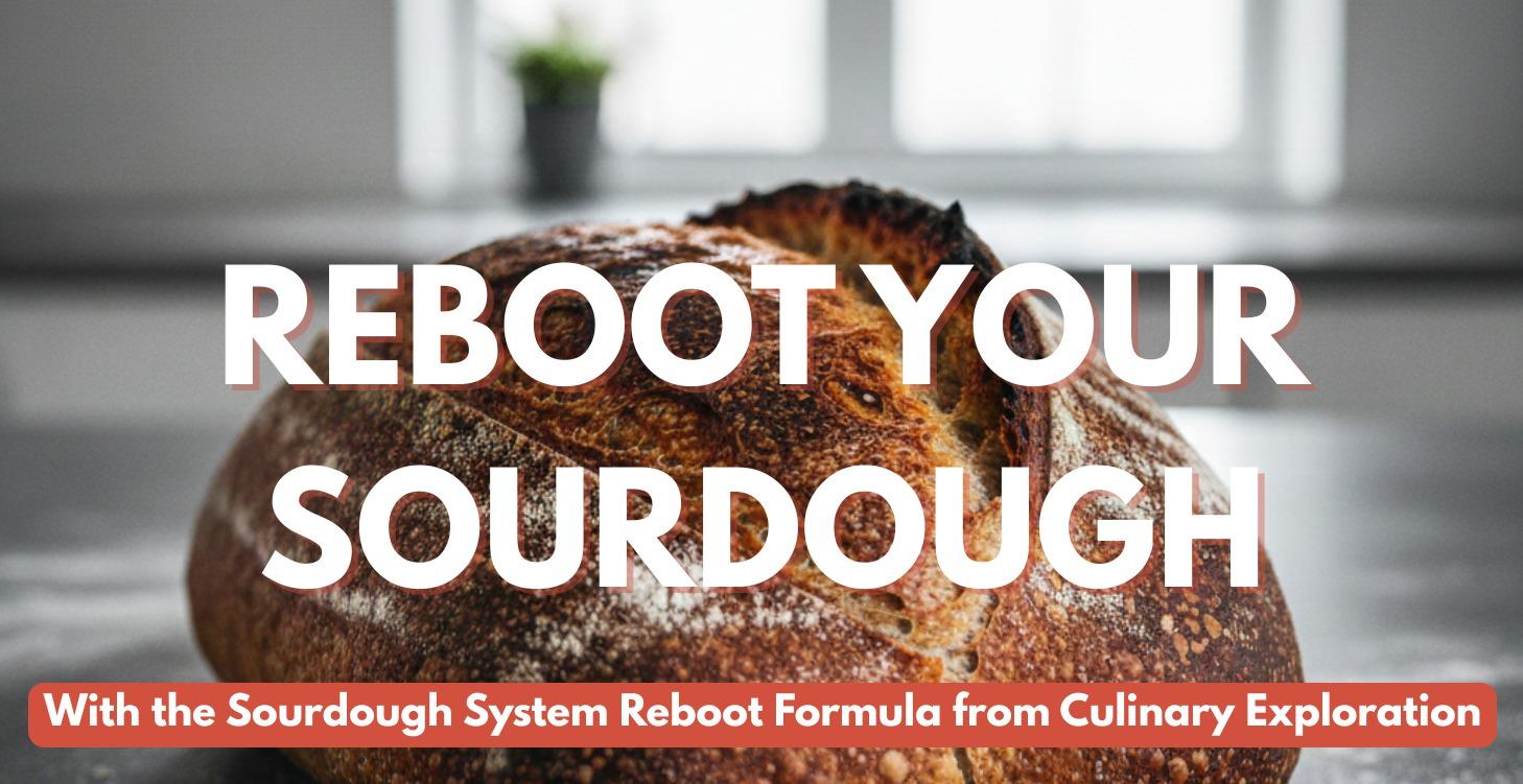 Sourdough System Reboot from Culinary Exploration