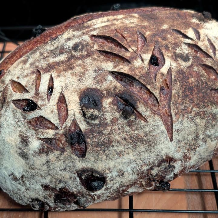 Lemon blueberry beast is out of the oven! 🫐 🍋 👾