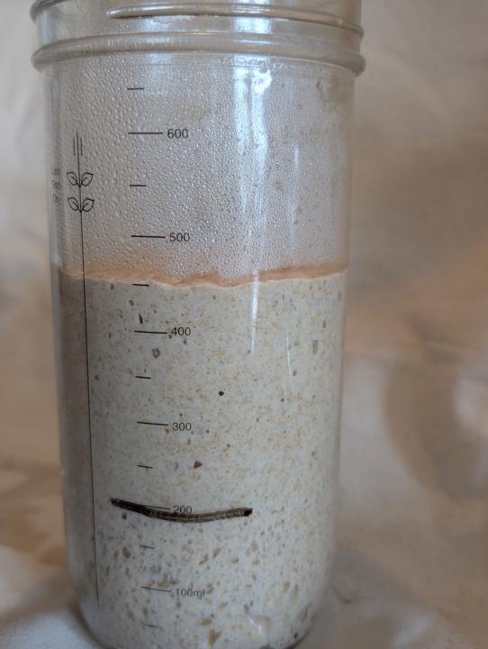 Pictures added to the Miche Formula and Baking Guide