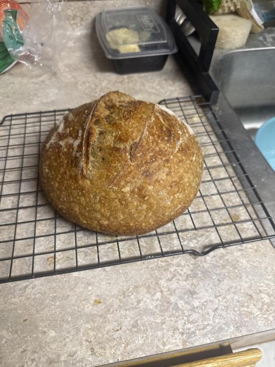 Latest bread 